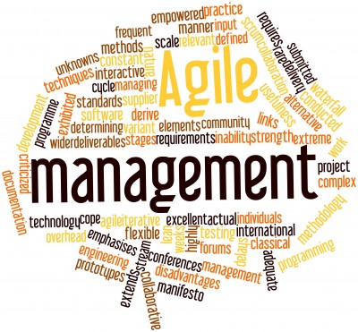 agile marketing management