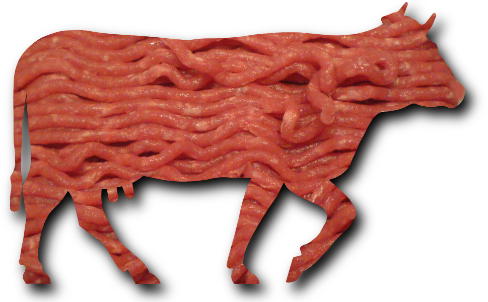 Minced_beef_meat_cow_cattle_shadow